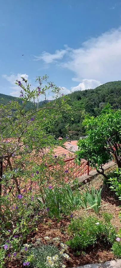 Apartment Park Rabac